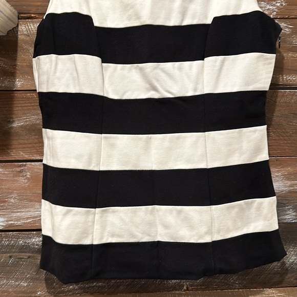 WHBM-Stripped Dressy Tank - Picture 4 of 6